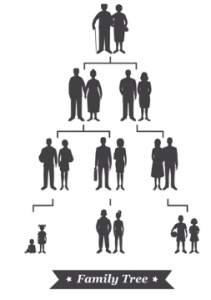 graphic of family tree